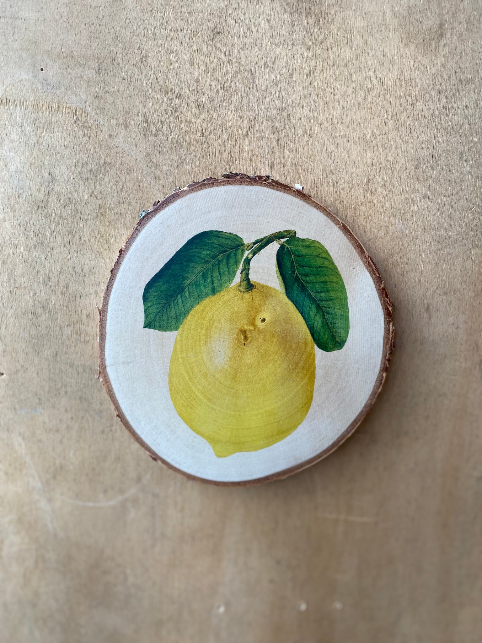 Wandbild Zitrone Frucht