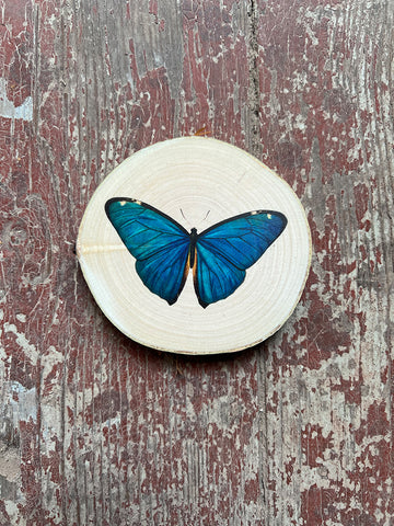 Wandbild Birke Schmetterling blau