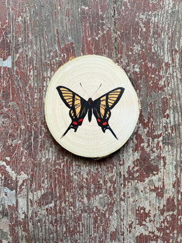 Wandbild Birke Schmetterling