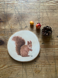 Wandbild Eichhörnchen