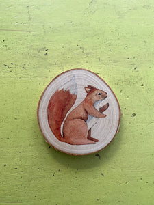Wandbild Eichhörnchen